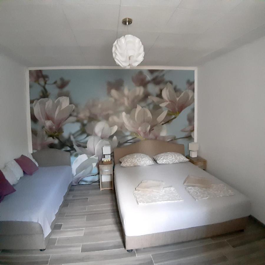 Apartament Vicky 1 Kotor Zewnętrze zdjęcie