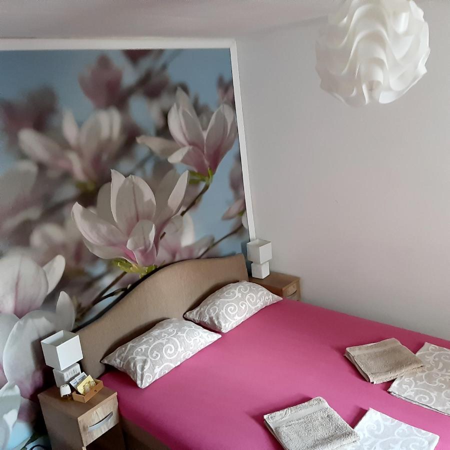 Apartament Vicky 1 Kotor Zewnętrze zdjęcie